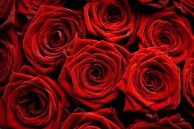 Can you be the love at work?