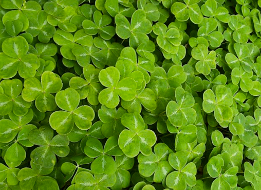 It's not just luck. Find the key to success at work on RedCapeRevolution.com