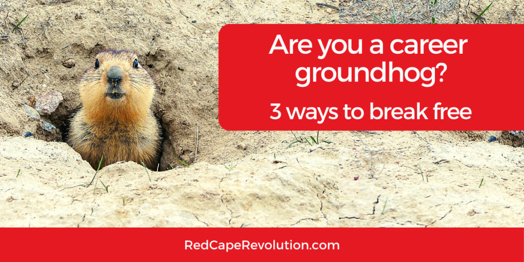 Are you a career groundhog Red Cape Revolution