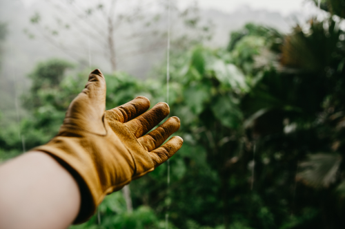 prune to grow time, money and friends