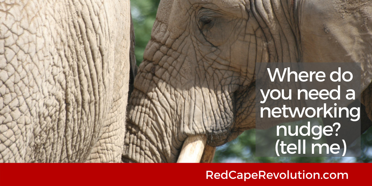 Where do you need a networking nudge Red Cape Revolution