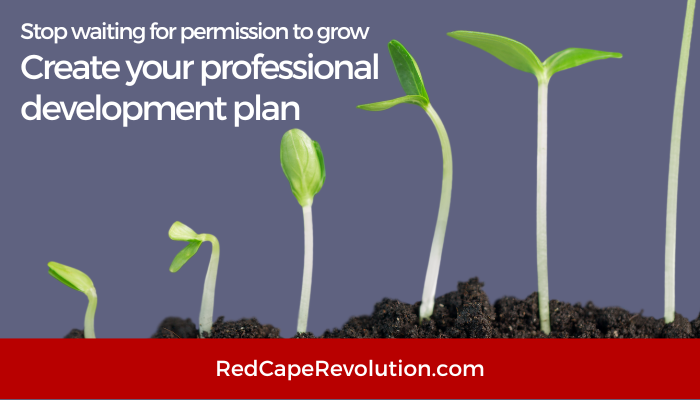create your professional developent plan Red Cape Revolution